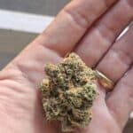 Store – gallery image 5