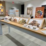 Store – gallery image 2