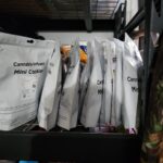 Store – gallery image 3