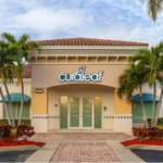 Store – gallery image 1