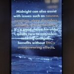 Store – gallery image 5