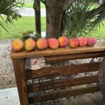 Store – gallery image 4