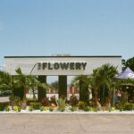 Store – gallery image 4