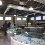 Store – gallery image 2