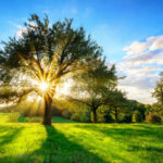 Store – gallery image 2