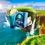 Store – gallery image 3