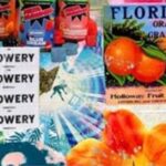 Store – gallery image 3