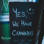 Store – gallery image 2