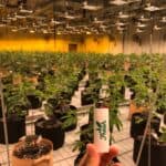 Store – gallery image 3