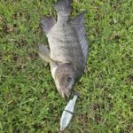 Store – gallery image 2