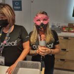 Store – gallery image 3