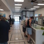 Store – gallery image 5