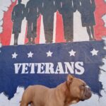 Store – gallery image 4