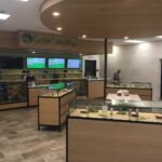 Store – gallery image 2