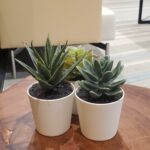 Store – gallery image 4