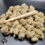 Store – gallery image 3