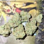 Store – gallery image 5