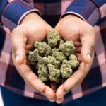 Store – gallery image 4