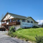 Store – gallery image 4