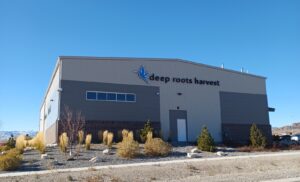 Deep Roots Harvest Wendover — West Wendover, NV