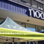 Store – gallery image 1