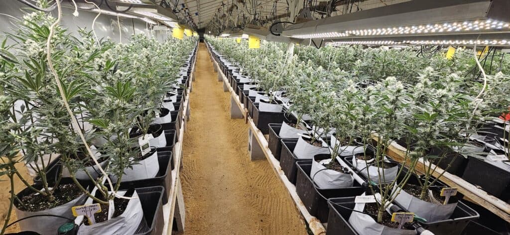 Store – main photo