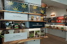 Noa Botanicals Waikiki Dispensary — Honolulu, HI