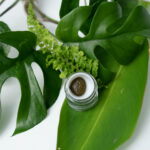 Store – gallery image 2