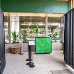 Store – gallery image 4