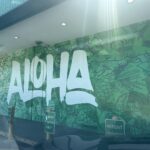 Store – gallery image 5