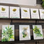 Store – gallery image 3