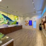 Store – gallery image 2