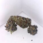 Store – gallery image 4