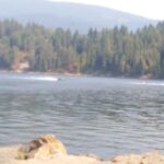 Store – gallery image 5