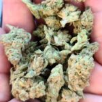 Store – gallery image 3