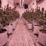 Store – gallery image 3