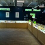 Store – gallery image 4