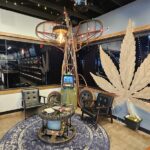 Store – gallery image 3