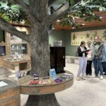 Store – gallery image 2