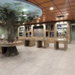 Store – gallery image 3