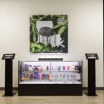 Store – gallery image 2