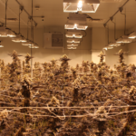 Store – gallery image 2