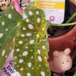 Store – gallery image 2