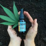 Store – gallery image 2