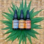 Store – gallery image 5