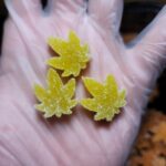 Store – gallery image 3