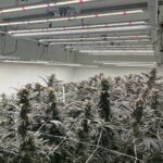 Store – gallery image 1