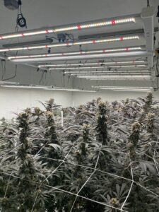 The Maine Cannabis Company – Medical Dispensary — Limerick, ME