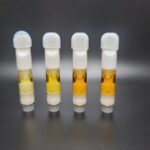 Store – gallery image 2