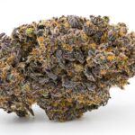 Store – gallery image 5